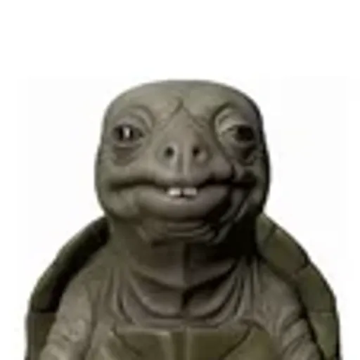Turtle