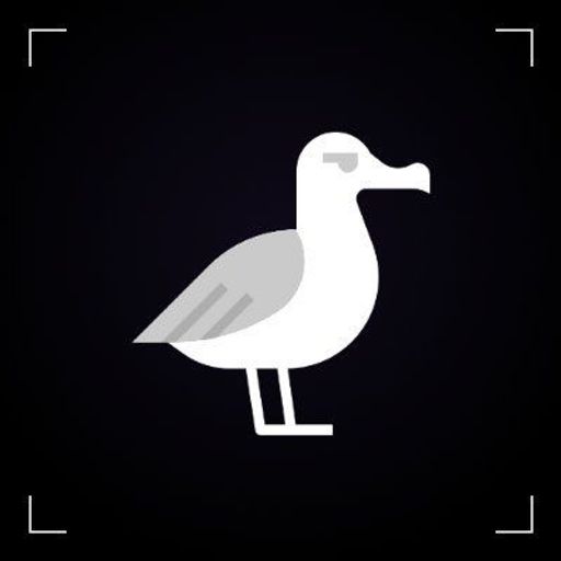 ALBATROSS