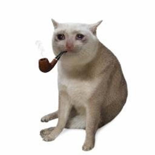 PIPECASHCAT