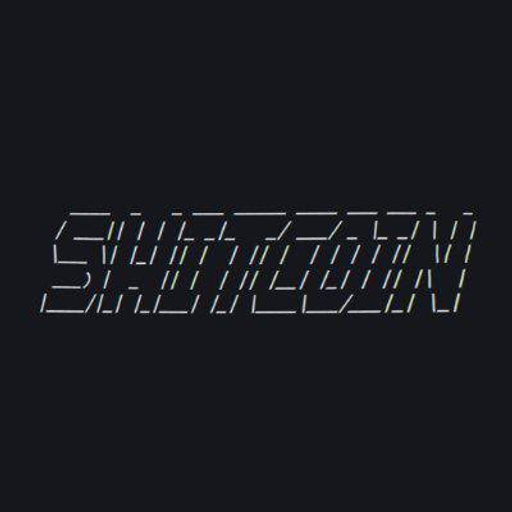 shitcoin