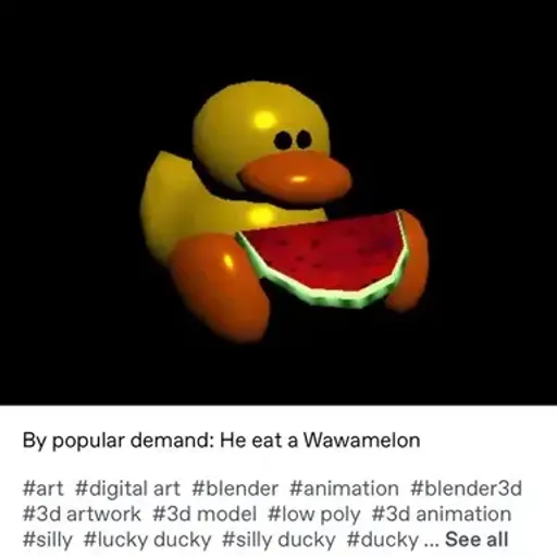 DUCK