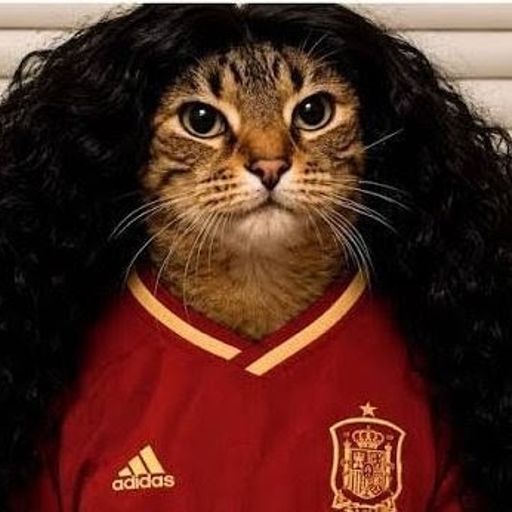 CURELLACAT