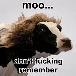 MOO