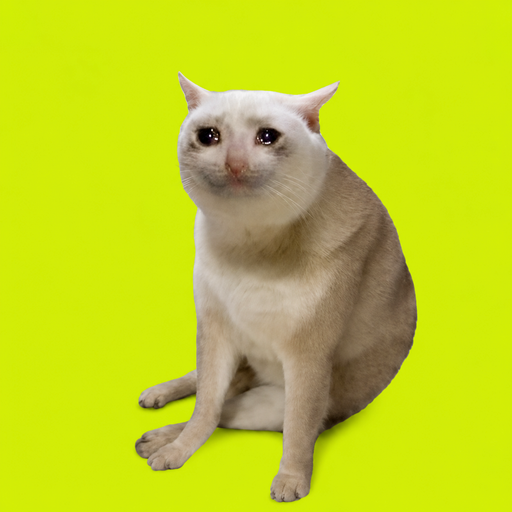 WHITECAT