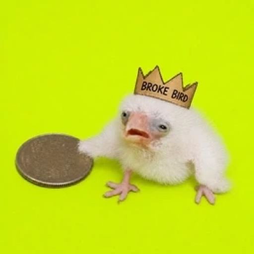 OBBY