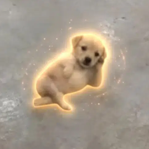 CHILLDOG