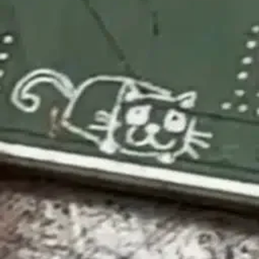 Cybercat