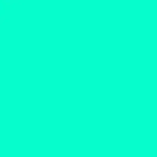 OLO