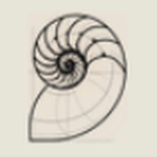 Nautilo