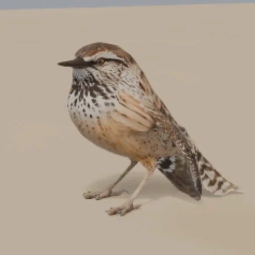 BIRB