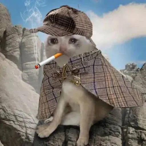CigCat
