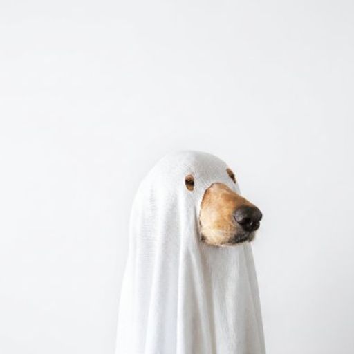 PHANTOM