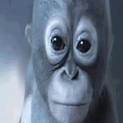 Budi