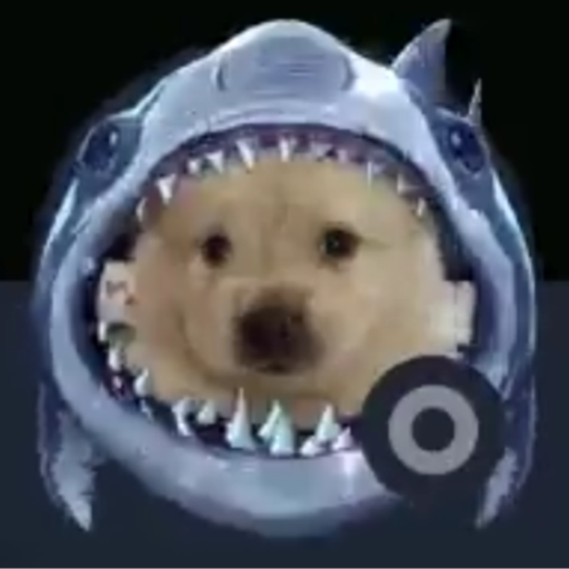 sharkdog