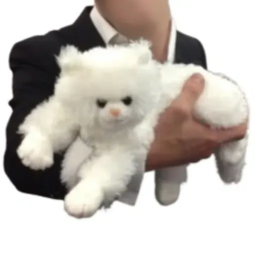 WhiteCat