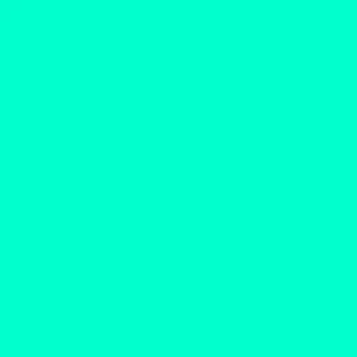 Olo