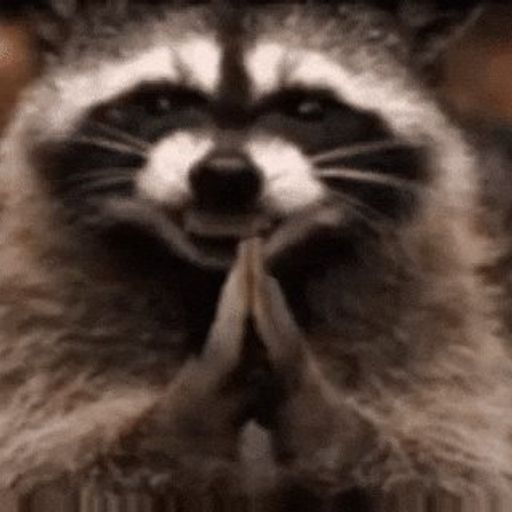 Raccoon