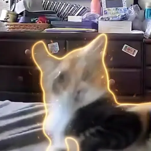 NJI