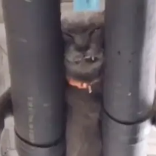 PIPECAT