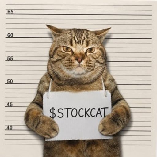 STOCKCAT