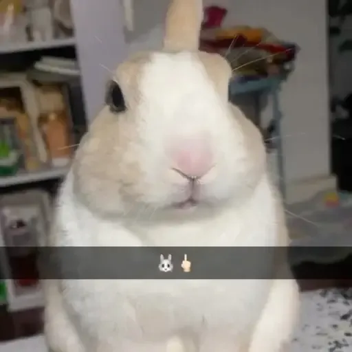 Rabdih