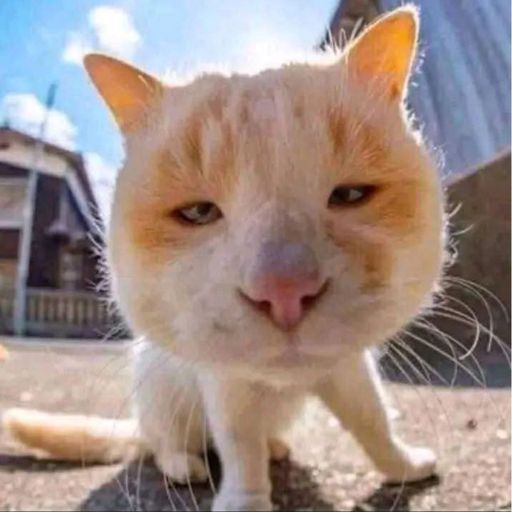 CATE