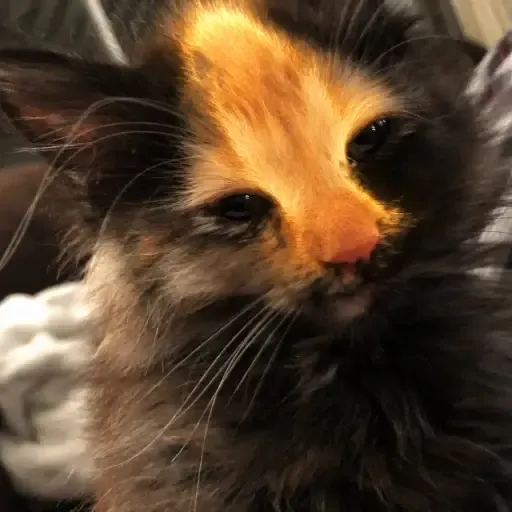 ↑