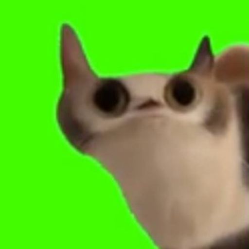 meowmeowmeowmeowmeowmeowmeowmeow