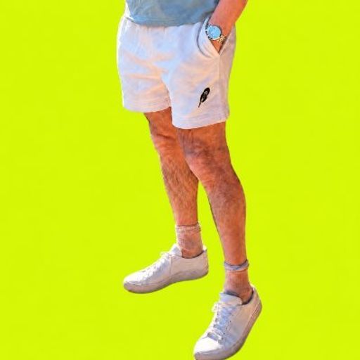 LEGS