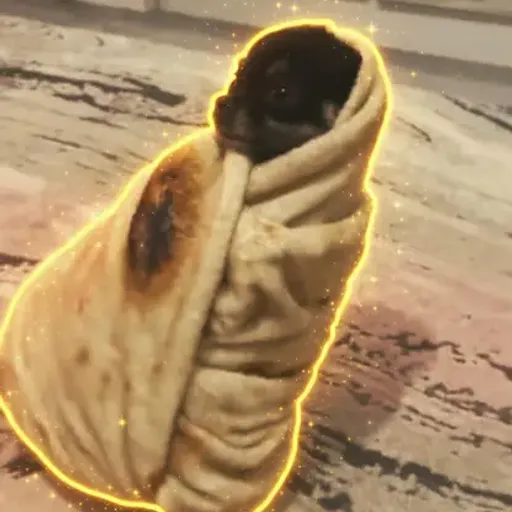 Perrito