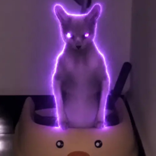 BEERUS