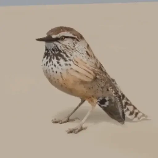 BIRB