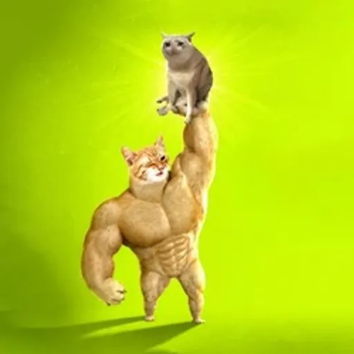SWOLECAT