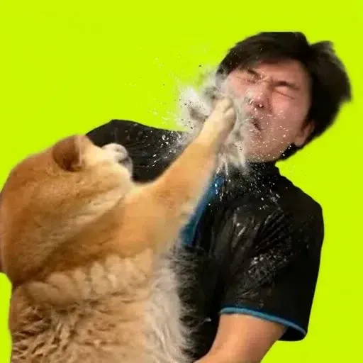 SLAP