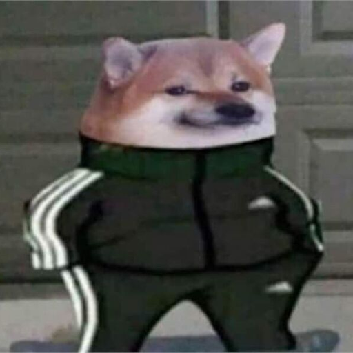 sportdog