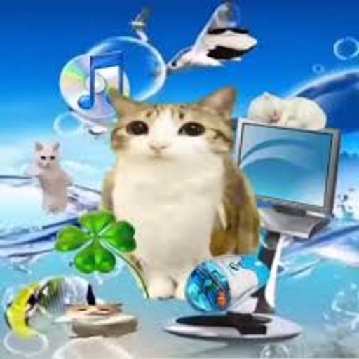MEOWL