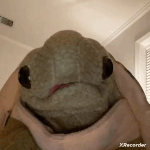 TORTUGA
