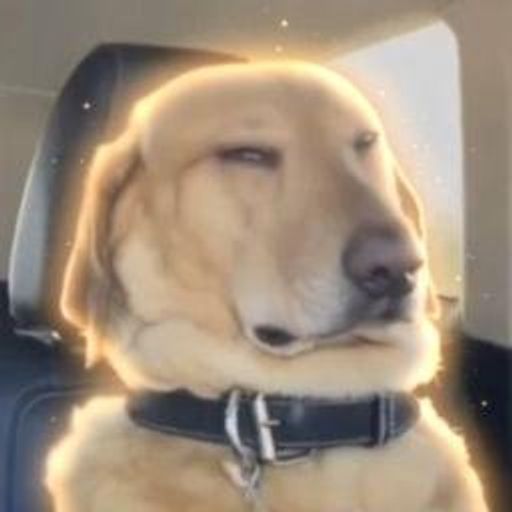 Sleepy