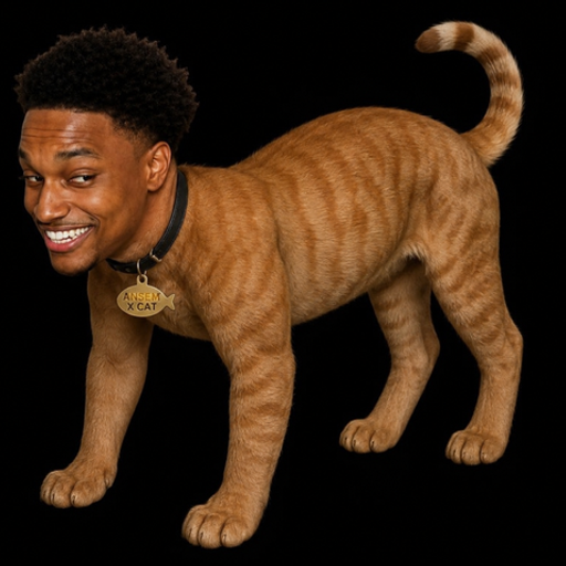 CATSEM