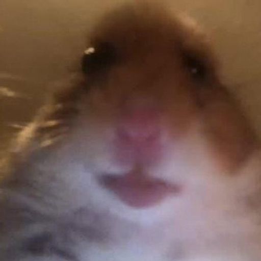 RAT