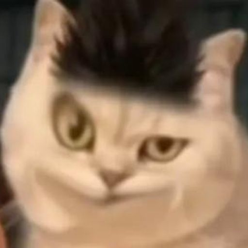 刺头小猫