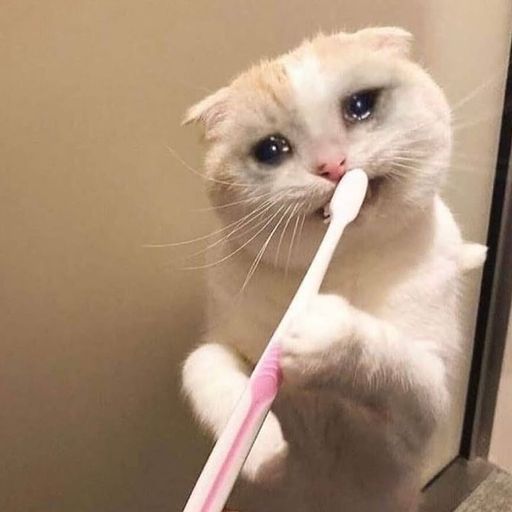 TBCAT
