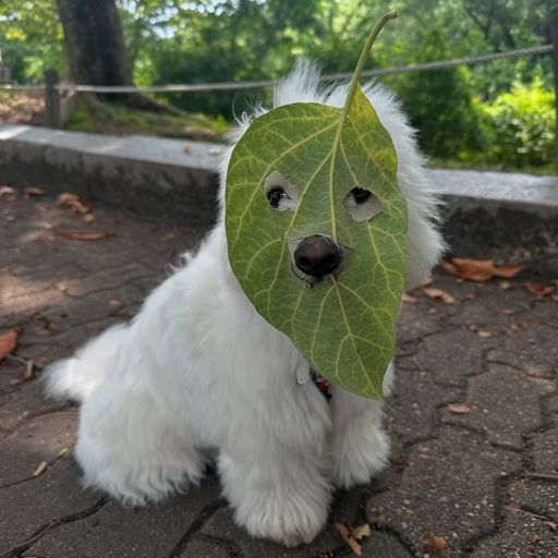 MASK