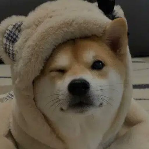 nigi