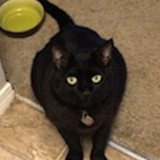 TCAT