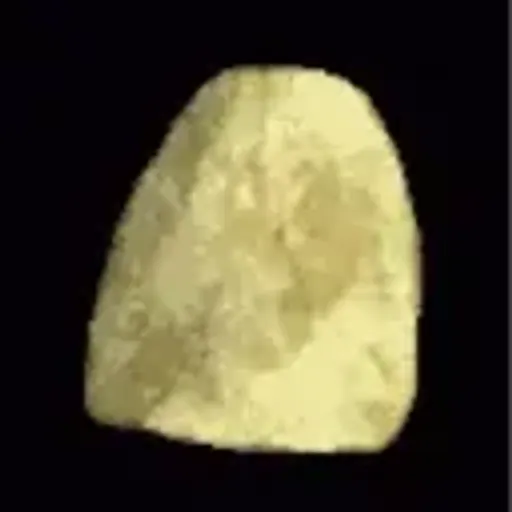 CHIP