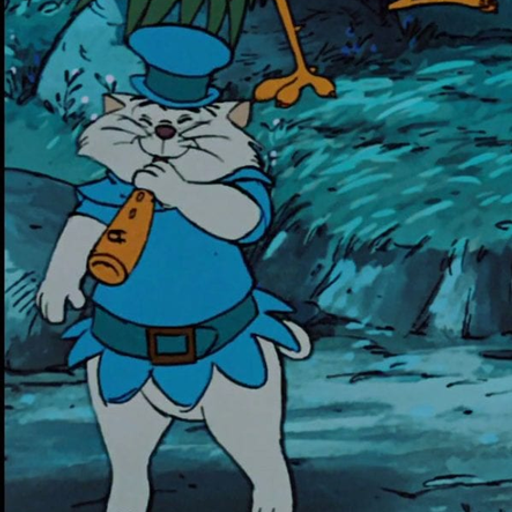 kazoocat