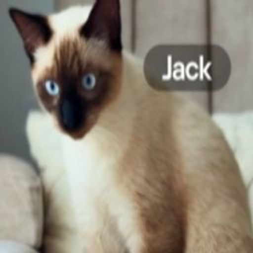 JACK