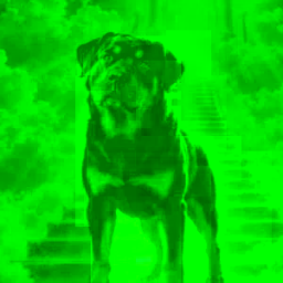 Max