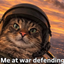 meatdeff